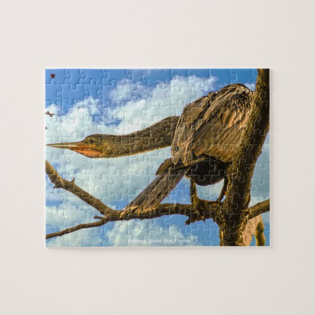 Anhinga Snake Bird Florida Jigsaw Puzzle (Horizontal)