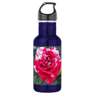 Anicia 532 Ml Water Bottle