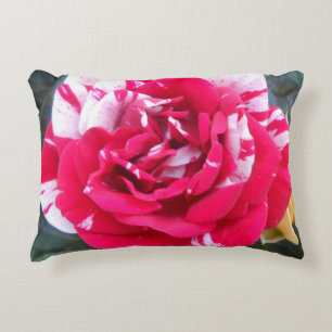 Anicia Decorative Cushion