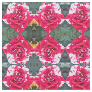 Anicia Fabric
