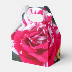 Anicia Favour Box