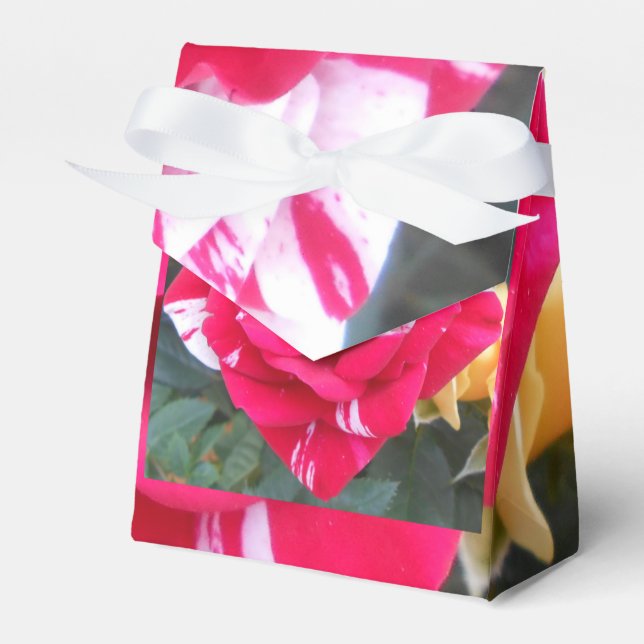 Anicia Favour Box (Front Side)