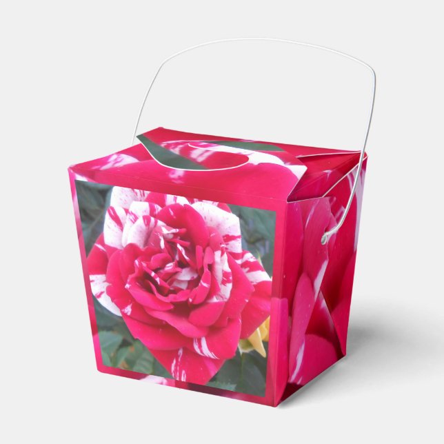 Anicia Favour Box (Front Side)