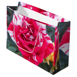 Anicia Large Gift Bag