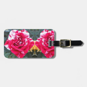Anicia Luggage Tag