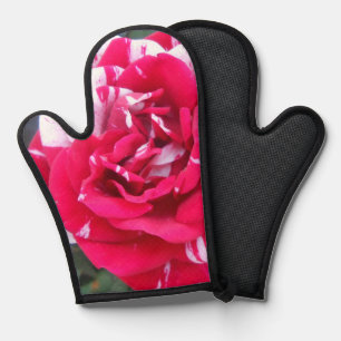 Anicia Oven Mitt