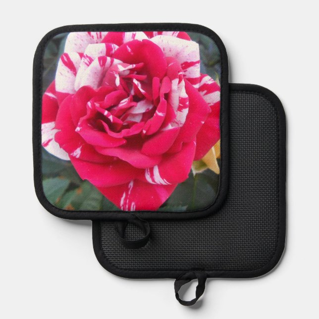 Anicia Pot Holder (Front/Back)