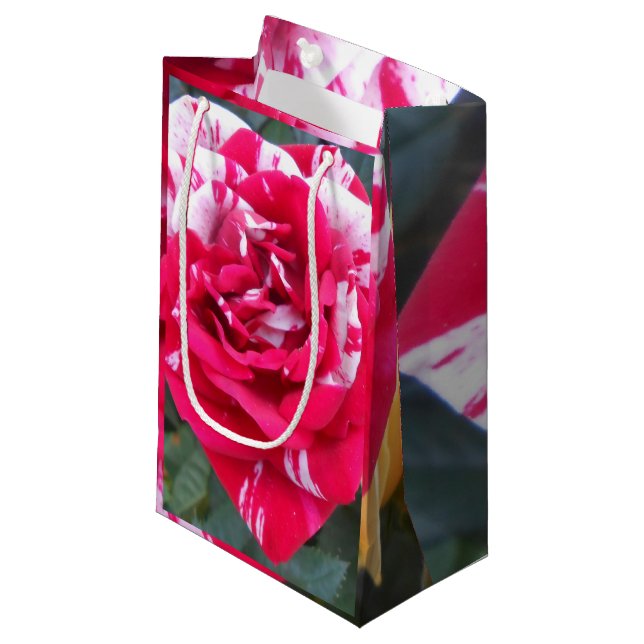 Anicia Small Gift Bag (Front Angled)