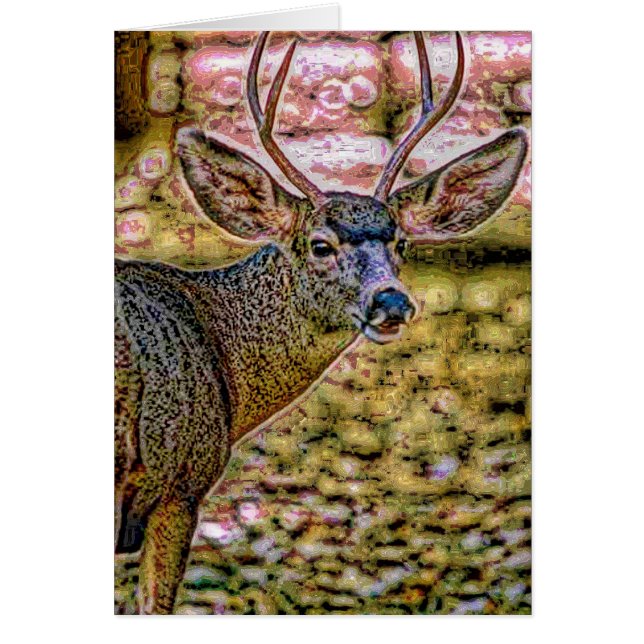 Animal29 (Front)