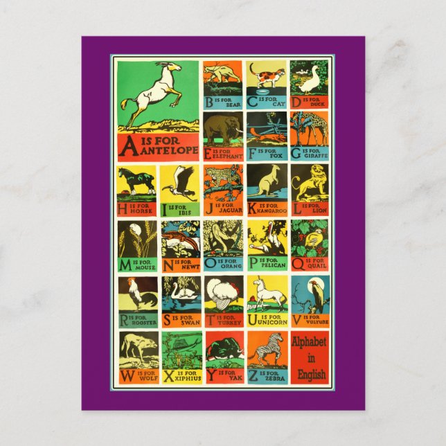 Animal abc alphabet Chart  teachers and learners Postcard (Front)