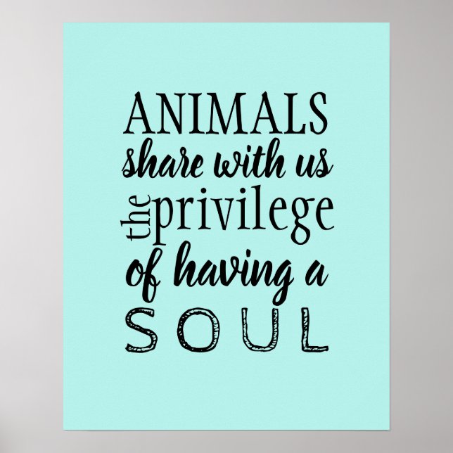 Animal advocate welfare poster (Front)