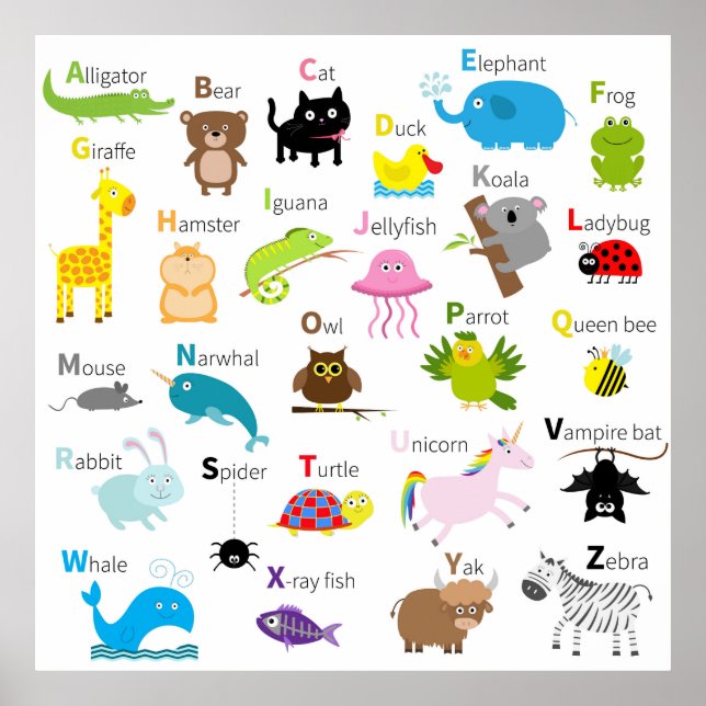 Animal Alphabet letters Poster (Front)