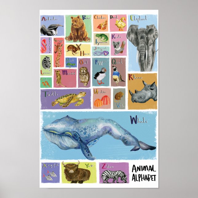 Animal Alphabet Poster (Front)