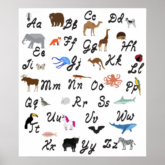 Animal Alphabet Poster. Poster (Front)