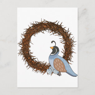 Animal Alphabet Quail Postcard