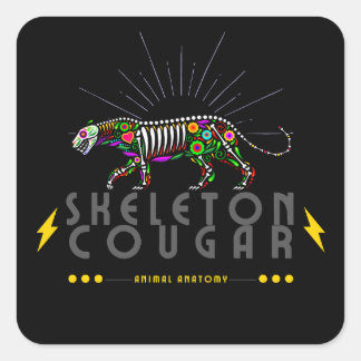 Animal anatomy animal skeleton square sticker