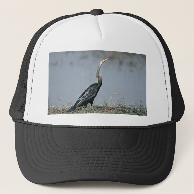 Animal-Anhinga Trucker Hat (Front)