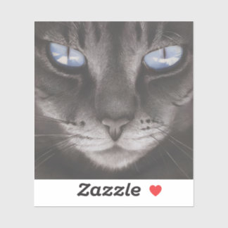 Animal anime style-6