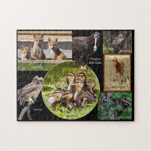 Animal Babies Jigsaw Puzzle
