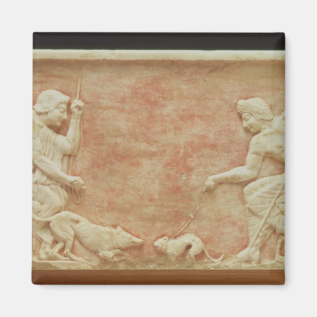 Animal baiting magnet (Front)