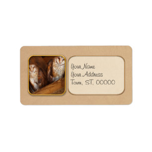 Animal - Bird - A couple of barn owls Label