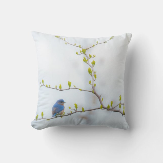 Animal Bird Eastern Bluebird Cushion (Front)