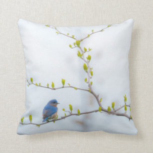 Animal Bird Eastern Bluebird Cushion