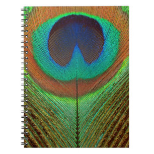 Animal - Bird - Peacock Feather Spiral Notebook