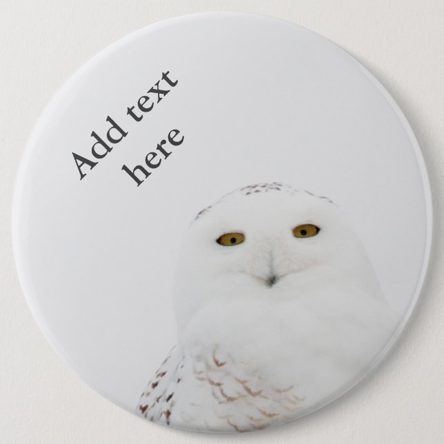 Animal Bird Snowy Owl Looking at Me 6 Cm Round Badge (Front)