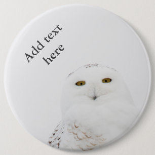 Animal Bird Snowy Owl Looking at Me 6 Cm Round Badge