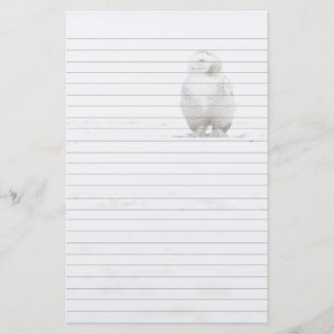 Animal Bird Snowy Owl Looking at Me Stationery