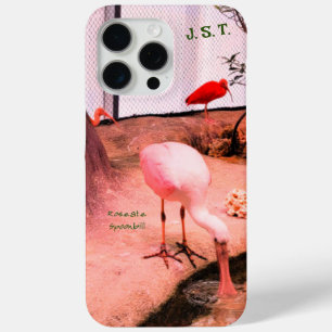 Animal Birds Roseate Spoonbill iPhone / iPad case