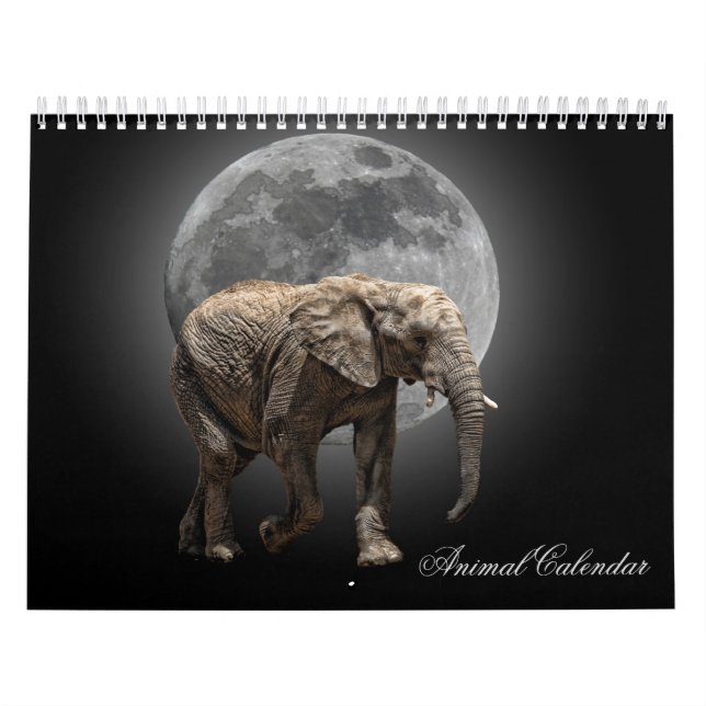 ANIMAL CALENDAR (Cover)