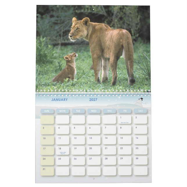 Animal Calender 6 Calendar (Jan 2027)