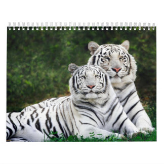 Animal Calender 8 Calendar