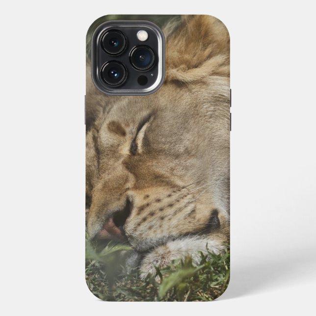 Animal  Case-Mate iPhone case (Back)