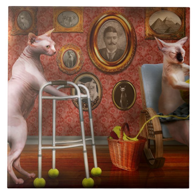 Animal - Cat - Retirement home for cats Tile (Front)