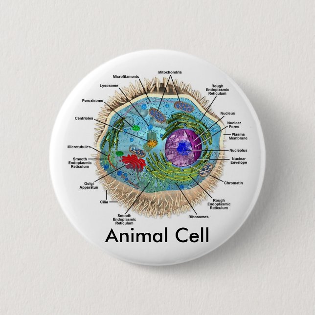 Animal Cell 6 Cm Round Badge (Front)