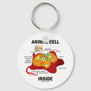 Animal Cell Inside (Eukaryote Cell Biology) Key Ring