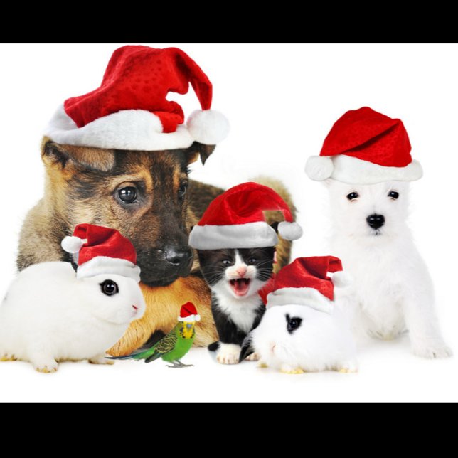 Animal Christmas  T-Shirt (Fun Festive Style Red Hats Cute T-Shirt!)