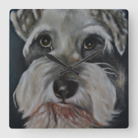 Animal Collection - The Schnauzer