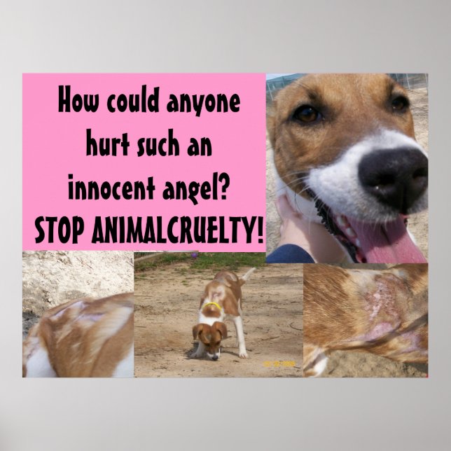 Animal Cruelty Poster (Front)