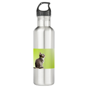 Animal Decoration Cat Design Geometry Nature Pop 710 Ml Water Bottle