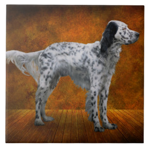 Animal - Dog - The English Setter Tile