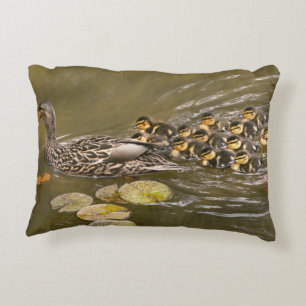 Animal - Ducks - Swim like a duck Decorative Cushion