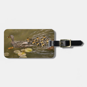 Animal - Ducks - Swim like a duck Luggage Tag