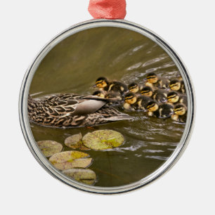 Animal - Ducks - Swim like a duck Metal Tree Decoration