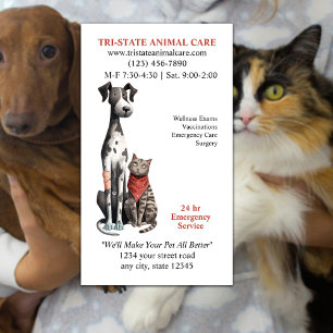 Animal Emergency Care Clinic Business Card