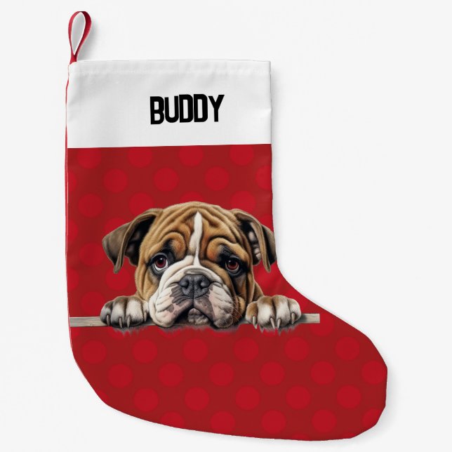 Animal Enthusiast's Stocking: Christmas Custom Small Christmas Stocking (Front)