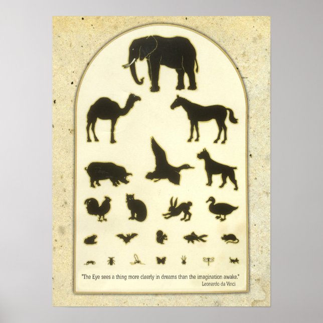 Animal Eye Chart ~ Leonardo da Vinci Quote (Front)